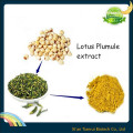 Lotus Seed Extract, Lotus Plumule Extract, Liensinine